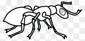 Free Clipart Of An Ant - Clip Art Black And White Ant