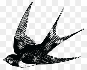 Free Clipart Of A Swallow - Swallow Tattoo Vintage