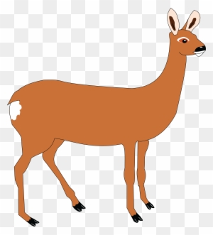 Free Clipart Of A Doe Deer - Doe Clipart