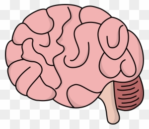 Brain Cartoon Drawing Online  anuariocidoborg 1692136108