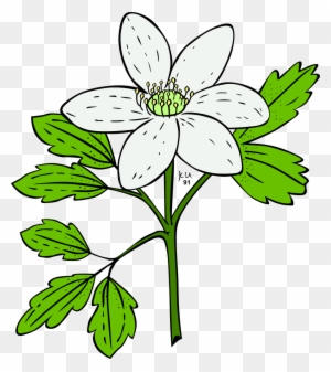 Tiny Flowers Clipart Transparent Png Clipart Images Free Download Clipartmax Tiny Flowers Clipart Transparent Png Clipart Images Free Download Clipartmax
