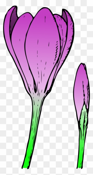 Vacant Clipart Hr Shenanigans Clipart - Crocus Flower