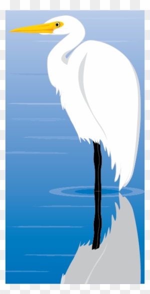 Egret Bird Illustration - Great Egret
