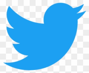 The - Twitter Logo Transparent