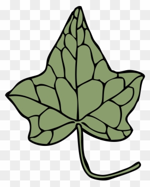 Big Image - Ivy Leaf Clip Art