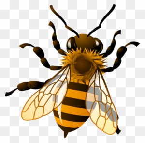 Bee Clip Art - Honey Bee Clip Art