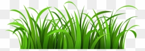Blog Clip Art - Grass Clipart