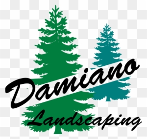 Damiano Landscaping - Lawn Maintenance - Google - Pine Tree Silhouette