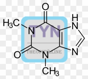 Theophylline Conjugate - Rosa Vila Jewelry Coffee Chemical Molecule Ring