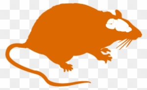 Rat Brain Clipart - Got Rat? Throw Blanket