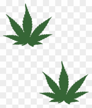 Featured image of post Small Plant Drawing Images