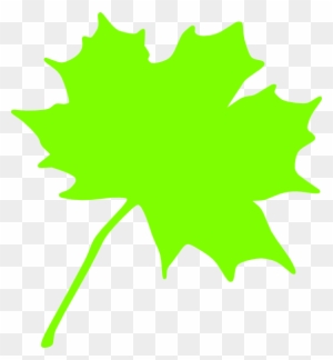 Green Leaf Clip Art At Clker - Maple Leaf