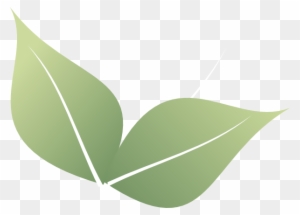 Two Leaf Clipart