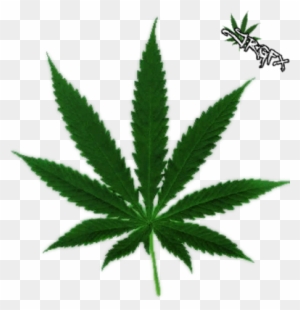 Marijuana Leaf Clip Art - Cannabis Leaf