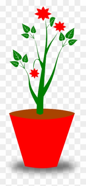Decoration, Leaves, Plant, Pot, Red - Sometimes I Wet My Plants Sticker