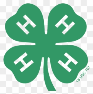 Everything You Need To Know For 4-h In Grafton County - Official 4 H Clover