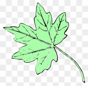 Light Green Maple Leaf Clip Art - Fall Leaves Clip Art