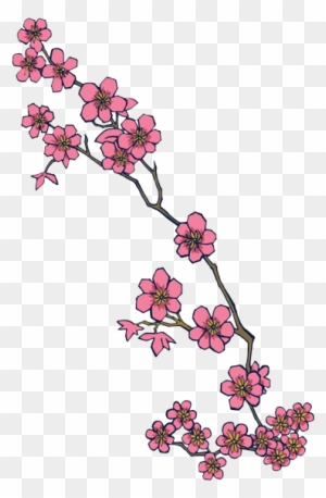 Set of cherry blossoms flower Collection of flowers of sakura Black and  white drawing of big spring flowers Linear Art Tattoo hand drawn design  6014619 Vector Art at Vecteezy