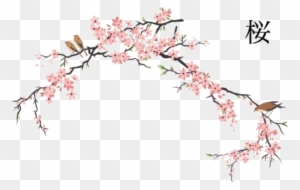 japanese cherry blossom drawings