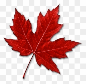 Canada Maple Leaf Clip Art - Canadian Maple Leaf Clipart