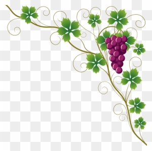 Common Grape Vine Grape Leaves Wine Clip Art - Grapes Border Png