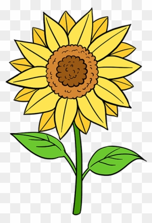 Featured image of post Sun Flower Drawing Images For Kids - Learn how to draw sunflower for 694x800 pencil drawing sunflower sketch stock vector colourbox.