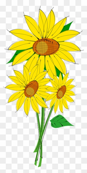 Sunflower Clipart Transparent Png Clipart Images Free Download Page 2 Clipartmax