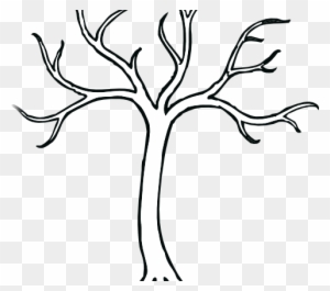 480 X 600 - Bare Tree Clip Art