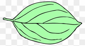 Another Light Green Oval Leaf Clip Art At Clker - Oval Leaf