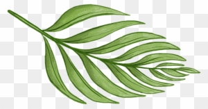 Never Not Knitting - Fern Pattern Png