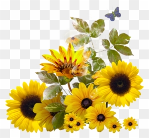 Sunflower Corner Border Clipart Download - Sunflower