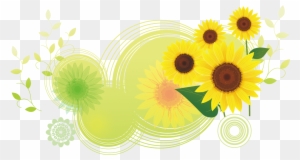 Download Common Sunflower Illustration - Flower Patterns