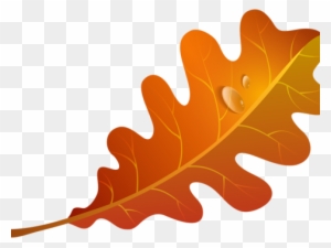 Autumn Leaves Clipart Orange Leaf - Orange Leaf Clipart