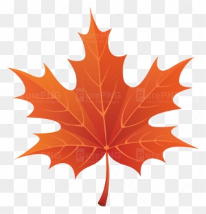 Red Autumn Leaf Clipart Png Image - Autumn Leaf Clip Art