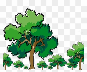 Trees, Oak, Nature, Green, Branch, Wood - Oak Tree Clip Art