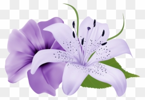 Easter Lily Clipart, Transparent PNG Clipart Images Free Download - ClipartMax