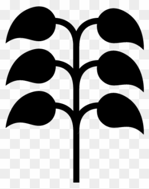 Natural Branch Shape With Leaves Vector - Leaf