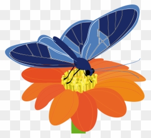 Blue Flower Clipart Big Flower - Butterfly On Flower Clip Art