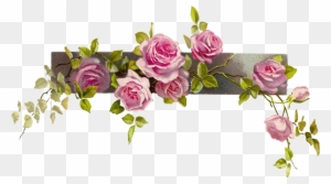 Purple Rose Clipart Coner - Vintage Flower Border Png