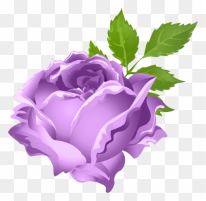 Purple Rose Clipart Puple - Portable Network Graphics