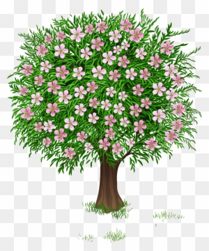 Весна Дерево Прозрачный Png Изображения Clipart - Spring Tree Clipart