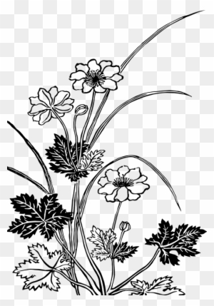 Vintage Wedding Graphics 24, Buy Clip Art - Flowering Plant Black And White