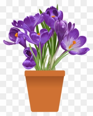 Purple Clipart Spring Flower - Spring Flowers In Pots