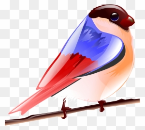Bird Clipart Colorful Bird - Colorful Birds Clipart