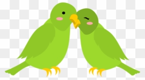 Love Birds - Lovebird