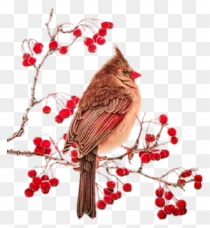 Wb-07 - Bird With Branch Png