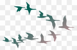 Birds In Flight Clip Art - Flock Of Birds Clipart