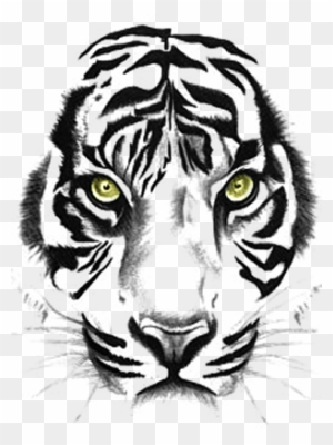 Tiger, Sumatra Tiger, Tierwelt, Tiger Tattoos Clipart - Outline Of A Tiger's Face