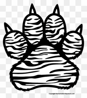 Tiger Paw Print - Tiger Paw Print Drawing