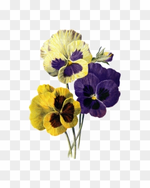 Flower Callygraph - Vectores De Flores Vintage Png - Free Transparent PNG Clipart Images Download Flower Callygraph - Vectores De Flores Vintage Png - Free Transparent PNG Clipart Images Download
